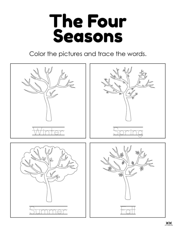 Earth and Space Science worksheet for Kindergarten Colorful worksheet for kindergarteners to learn about the four seasons by matching pictures to seasons. Engaging educational activity for young learners exploring weather changes throughout the year.