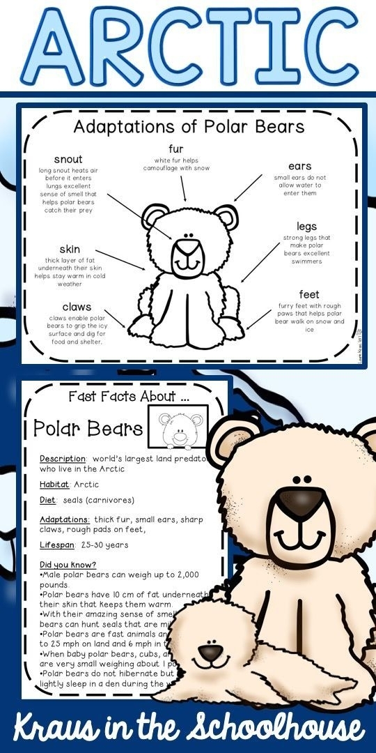 A kindergarten student reading A.A. Milne's cozy bear poem with comprehension questions on a life science worksheet