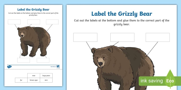 Kindergarten student worksheet featuring a poem about a furry bear for life science practice