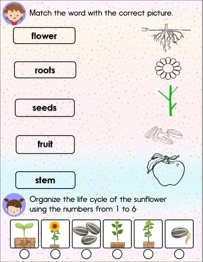 Color by number worksheet featuring vibrant garden plants designed for kindergarten children