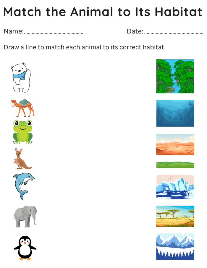 Animal Habitats Match-Up Learning Activity for Young Readers Kindergarten student matching animals to their habitats with rainforest and desert environments shown