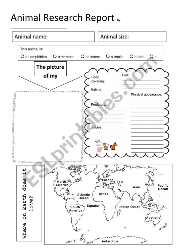 Informational report guide for kindergarten students on animal research Students engaging with the All About Animals Report worksheet for handwriting practice