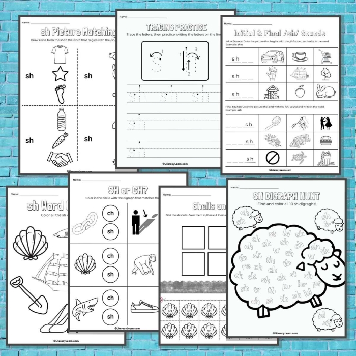 Worksheet featuring "sh" words for handwriting practice in kindergarten