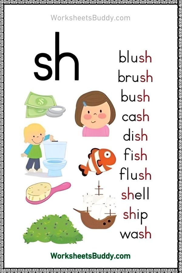 Worksheet featuring "sh" words for kindergarten handwriting practice