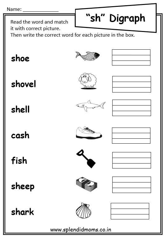Worksheet featuring "sh" words for kindergarten handwriting practice
