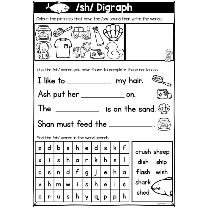 Worksheet featuring "sh" words for kindergarten handwriting practice