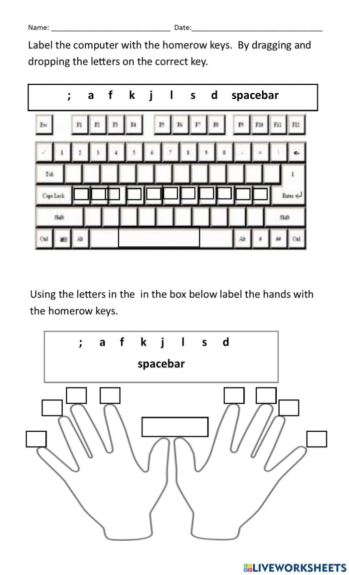 Learning home row finger placement for young students worksheet number 22 Kindergarten worksheet displaying hand diagrams and the home row keys A S D F J K L ; for tactile typing practice