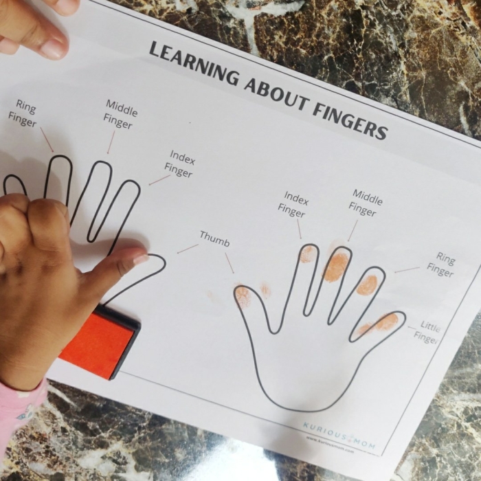 Keyboarding home row keys guide for young students image 15 Kindergarten worksheet showing proper finger placement on home row keys for typing lesson 15