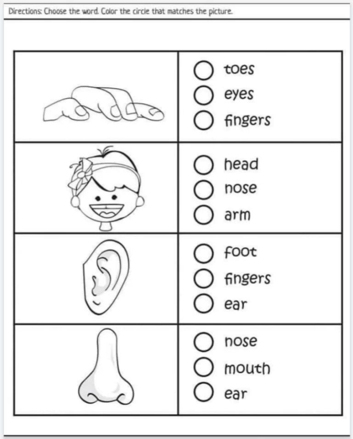 Home Row Finger Position Guide for Beginning Keyboarders Image 12 Kindergarten student learning proper finger placement on keyboard home keys A-S-D-F-J-K-L-semicolon for typing practice