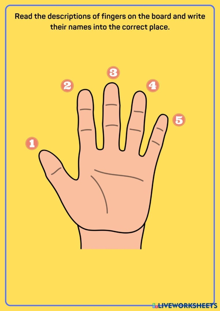 Where Do My Fingers Go Home Keys Activity Sheet 6 Kindergarten students learning finger placement on a printable keyboard layout worksheet