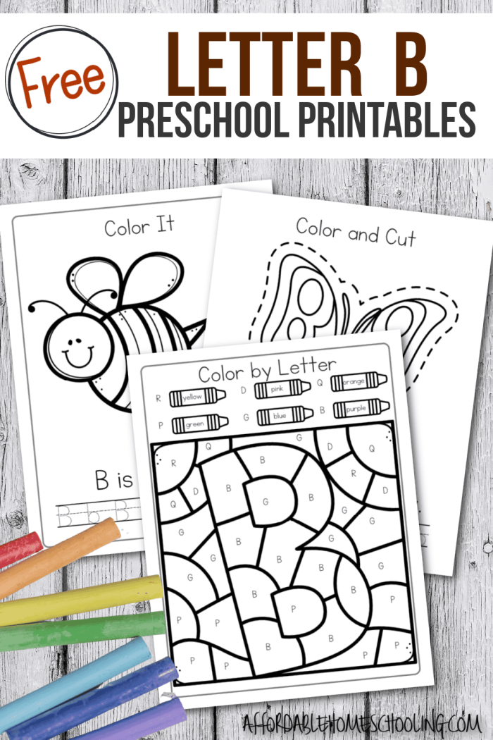 Printable worksheet for teaching kindergarten students the uppercase and lowercase letter B