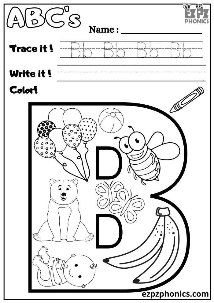 Printable worksheet for teaching uppercase and lowercase letter B to kindergarteners