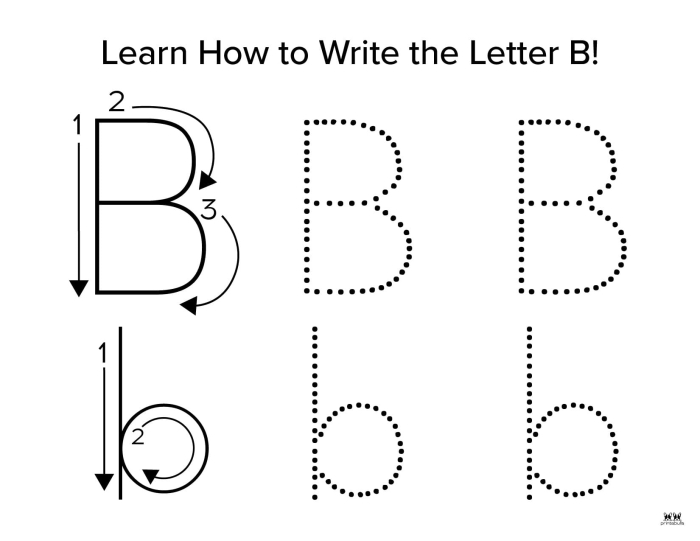 Printable worksheet for teaching uppercase and lowercase letter B to kindergarteners
