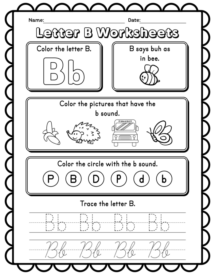 Printable worksheet for teaching the letter B in upper and lowercase for kindergarten students