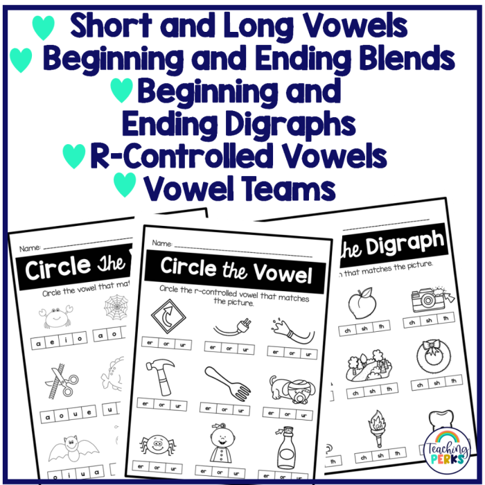 Circle the Long Vowel Sounds Activity Sheet for Young Learners Worksheet featuring a unicorn and an eagle for long vowel sound sorting in Kindergarten
