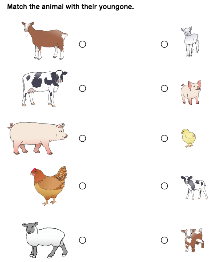Kindergarten worksheet showing animal pictures for children to match with written CVC words