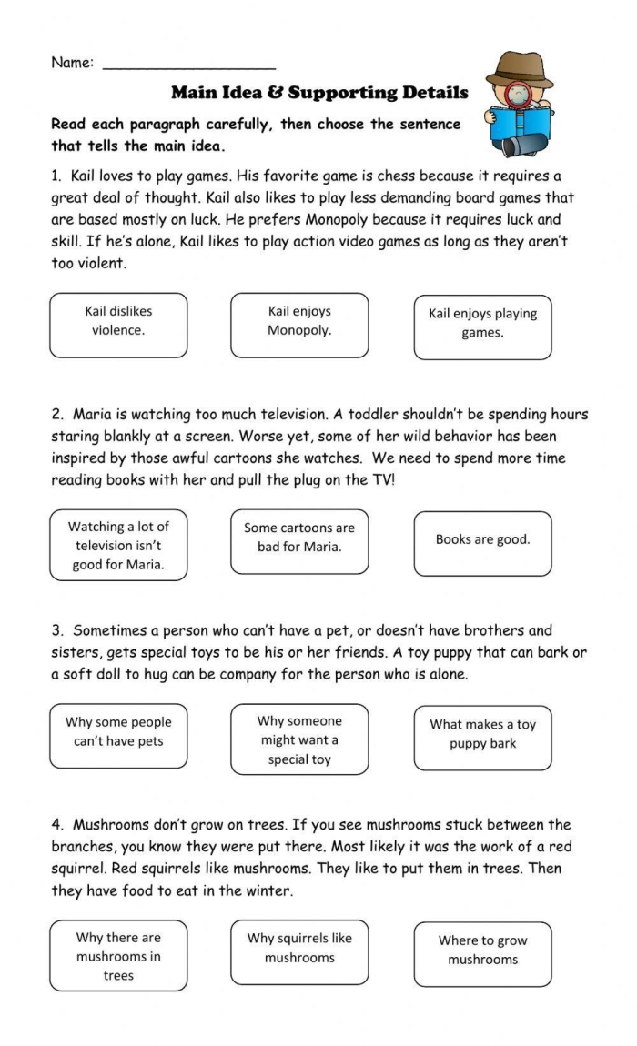 Nonfiction Graphic Organizer Template for Main Idea and Details for Kindergarten students