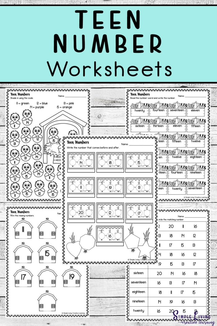 Image title: Teen Number Train worksheet for division practice in kindergarten. ALT text: A colorful worksheet featuring a number train for kindergarten students to practice ordering numbers.