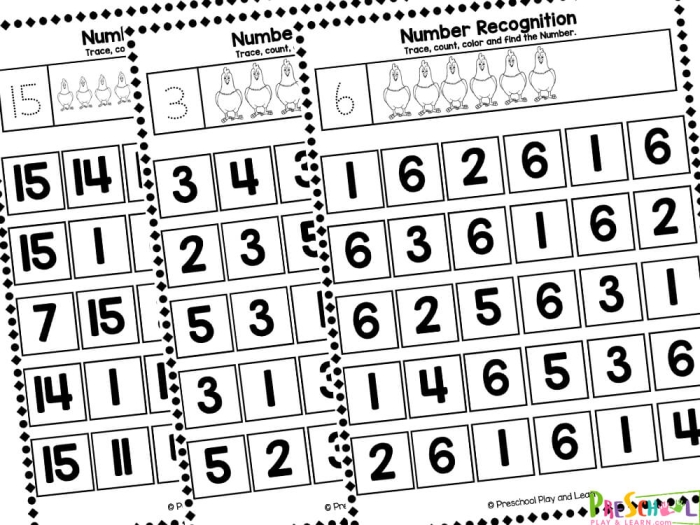 Recognizing Numbers to 20 Assessment Resource for Early Learners Kindergarten worksheet showing number recognition activities with numbers one through twenty displayed in various formats for student practice