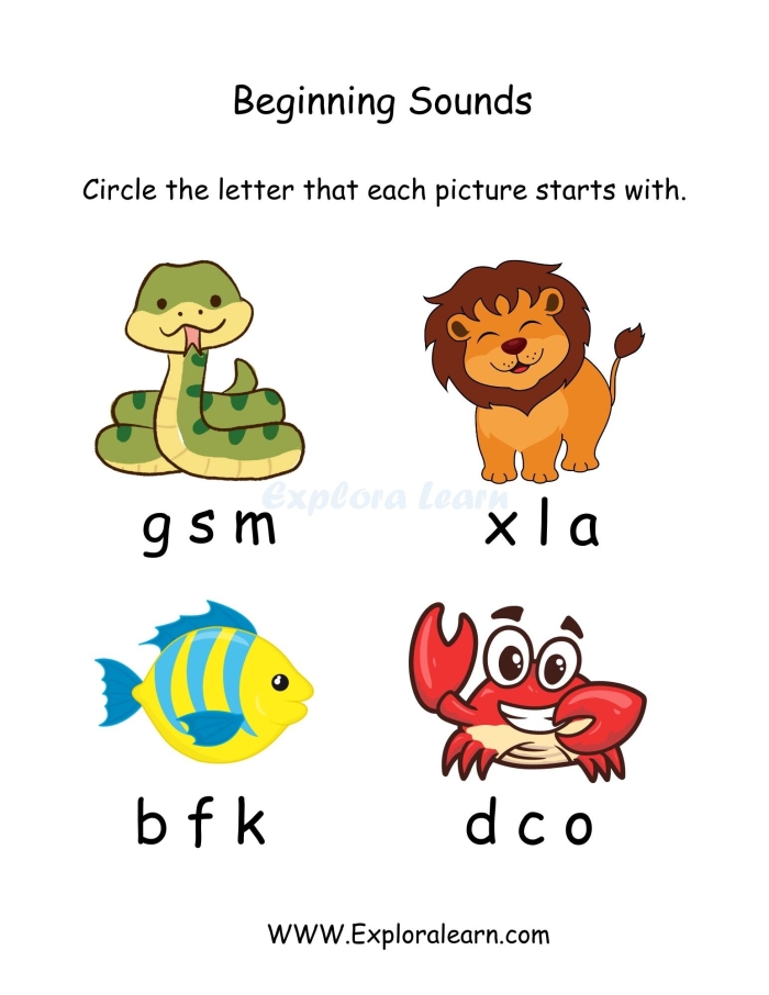 Kindergarten student circling pictures that start with the same beginning letter sound in a phonics matching activity