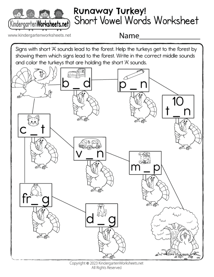 Worksheet for spelling short vowel words with A, E, I, O, or U in kindergarten phonics. Spell Out Short Vowel Words worksheet for early literacy practice.
