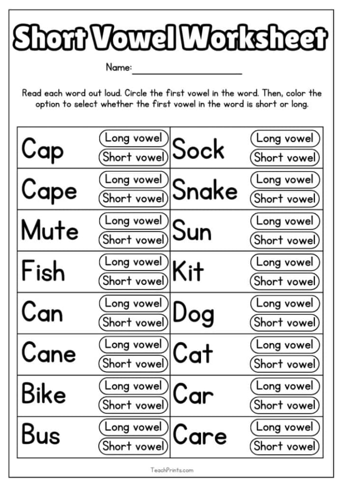 Worksheet for spelling short vowel words designed for kindergarten students