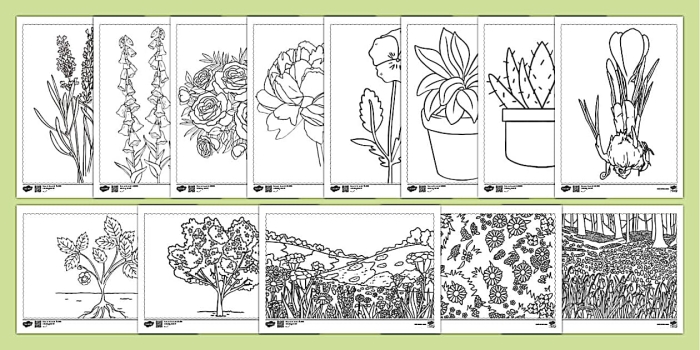 Engaging sight word practice for young learners in geometry class Color-by-word worksheet featuring plants for kindergarten students