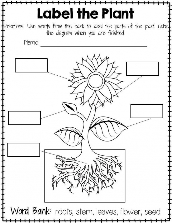 Engaging Plant Color by Word worksheet for learning sight words in geometry Color-by-word worksheet featuring plant illustrations for kindergarten students