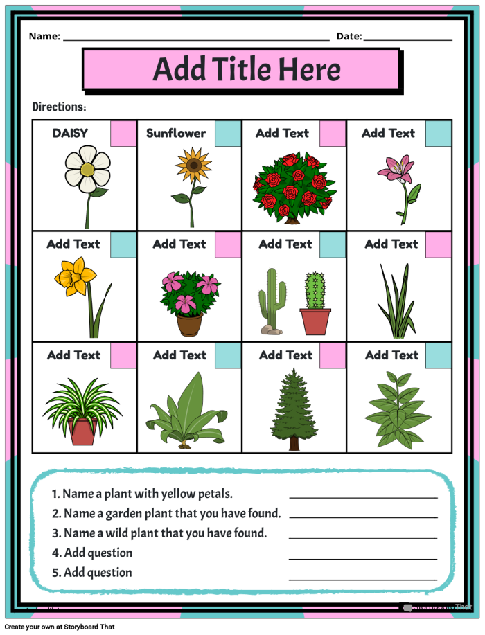 Colorful worksheet illustrating how plants grow for kindergarten students