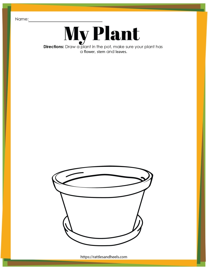 Kindergarten science worksheet showing the stages of plant growth and photosynthesis with simple illustrations