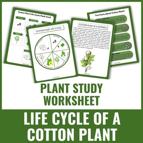 Colorful Plant Life Cycle flash cards designed for kindergarten counting and sequencing skills