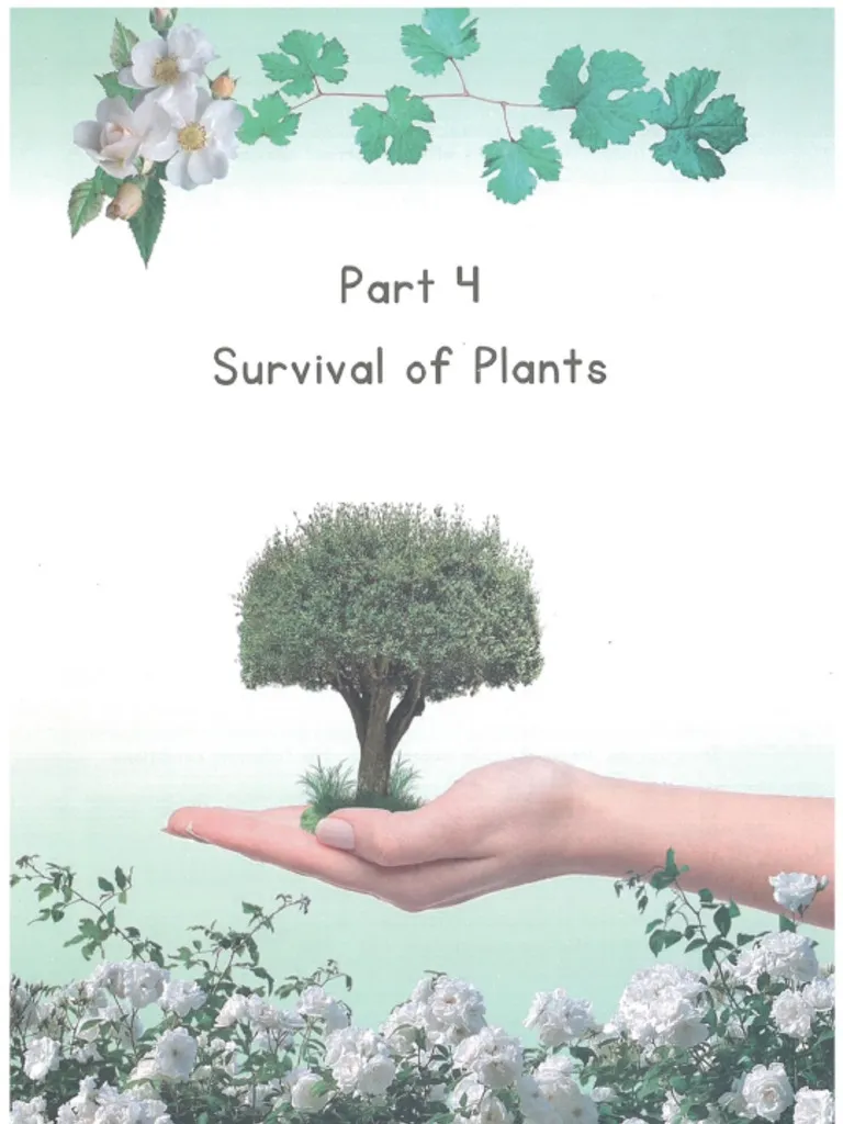 Plant Survival Worksheet for Kindergarten Botany Skills Kindergarten student identifying essential items for plant growth on a botany worksheet
