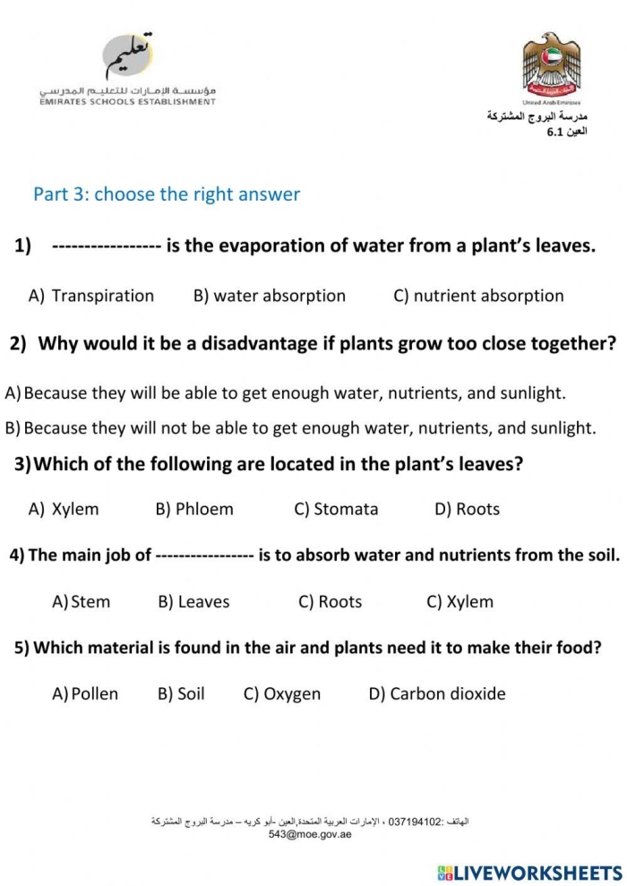 Engaging educational activity for young learners about plant growth essentials Colorful Plant Survival worksheet for kindergarten focusing on ratios and proportions