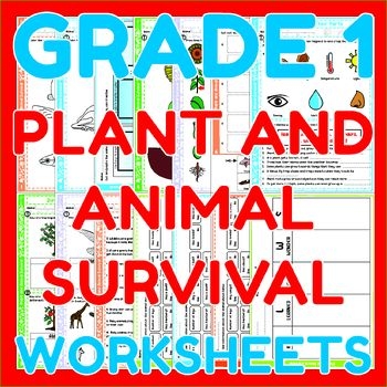 Plant Survival Worksheet Number 3 Learning About Growth Requirements Kindergarten worksheet featuring illustrations of sunlight and water to teach plant survival needs