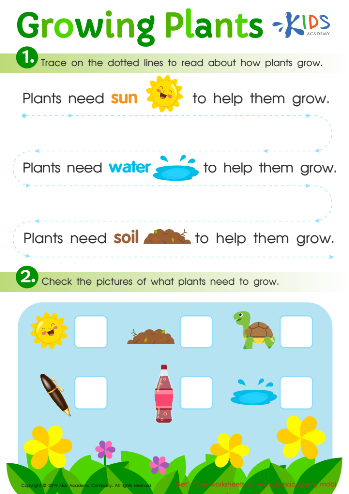 Worksheet illustrating how plants grow for kindergarten students