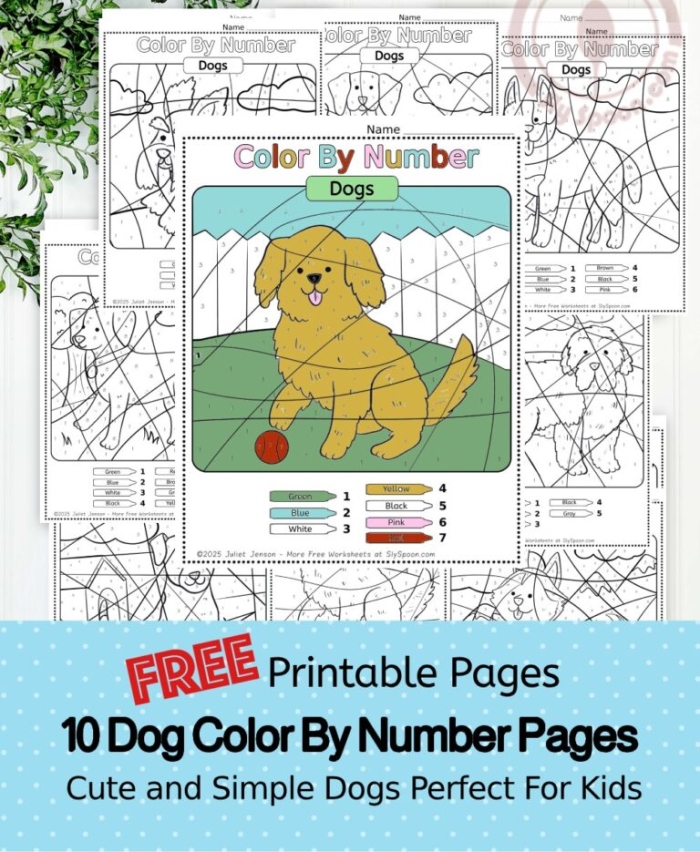 Kindergarten student coloring a puppy worksheet to practice identifying numbers and colors