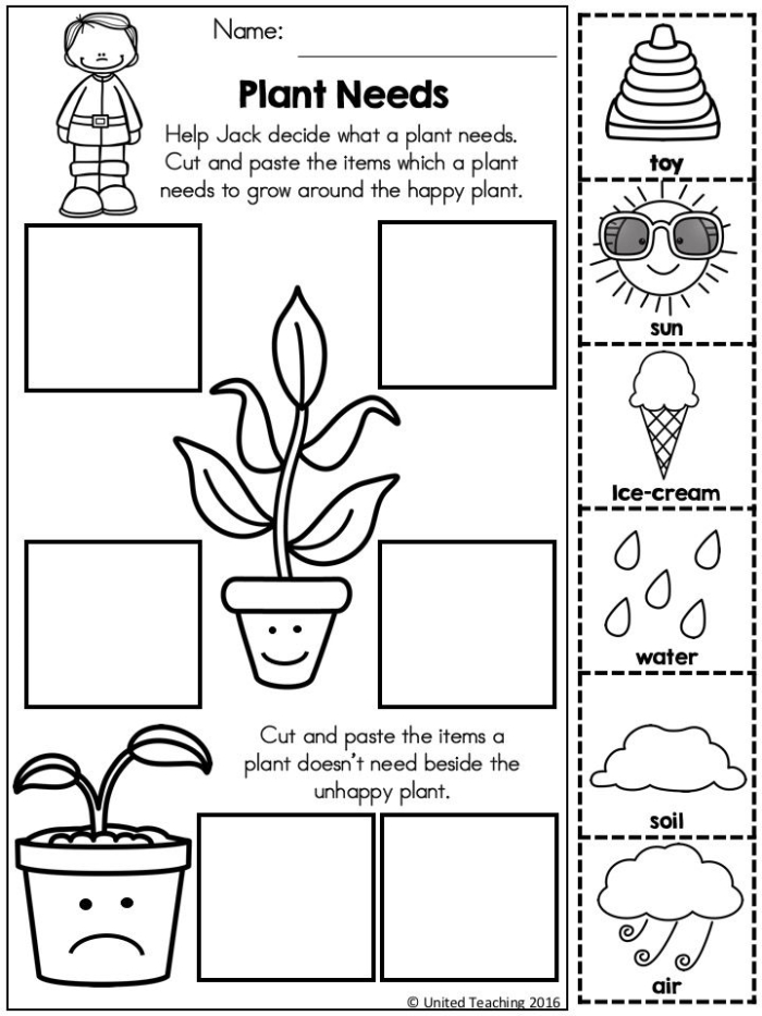 Kindergarten student completing a How Plants Grow phonics worksheet about photosynthesis