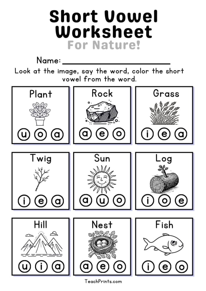 Worksheet showcasing short vowel word completion for early literacy learners