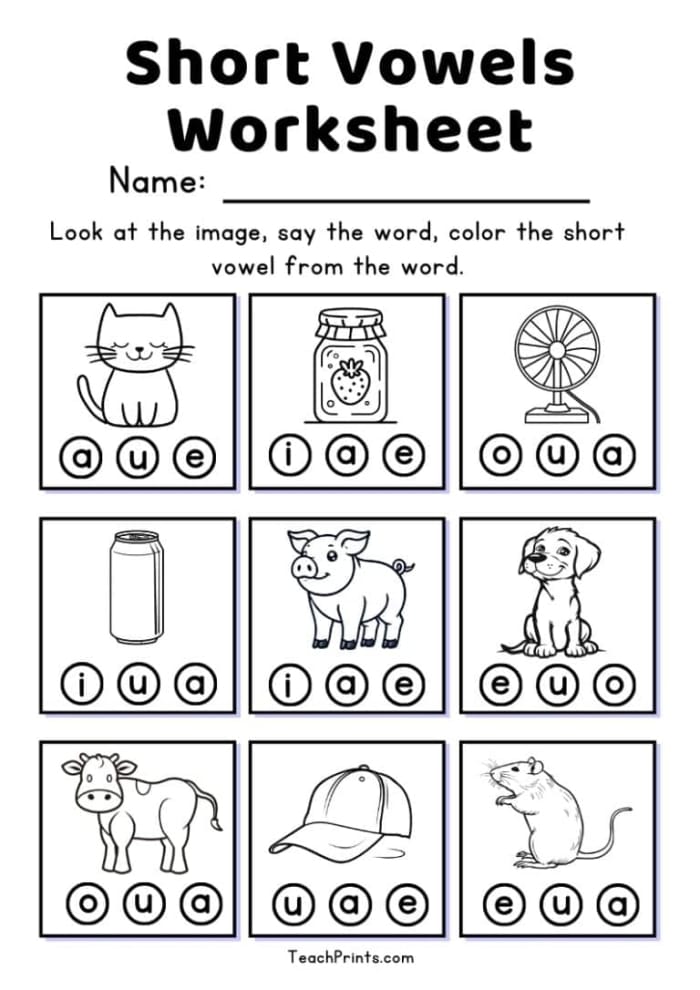 Worksheet for spelling short vowel words with A, E, I, O, U for kindergarten learners