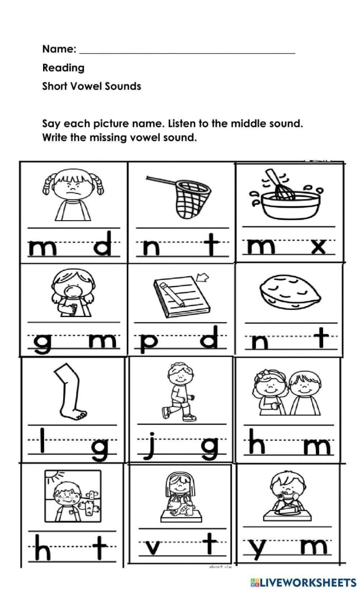 Worksheet for spelling short vowel words in phonics activities
