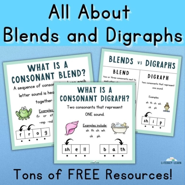 Sorting Blends and Digraphs worksheet for kindergarten phonics practice