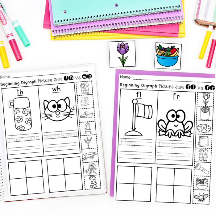 Sorting Blends and Digraphs worksheet for Kindergarten phonics practice