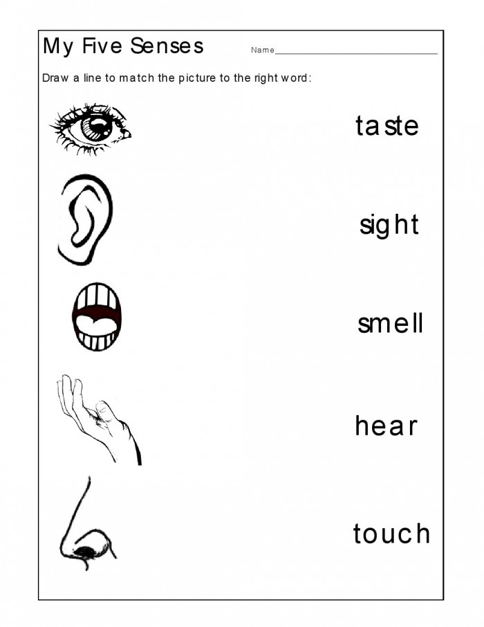 Interactive taste matching worksheet for learning about the five senses in kindergarten Worksheet for matching tastes with the five senses for kindergarten students