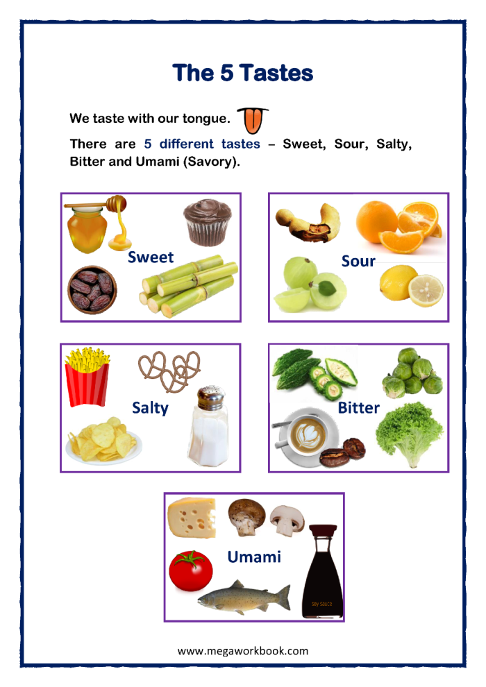 Life Science worksheet for Kindergarten Worksheet for matching tastes to the five senses, designed for kindergarten students. Engaging activity to help young learners explore the sense of taste.