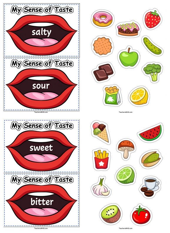 5 Senses: Taste Matching Worksheet for Early Learners Worksheet for matching different tastes with the five senses for kindergarten students