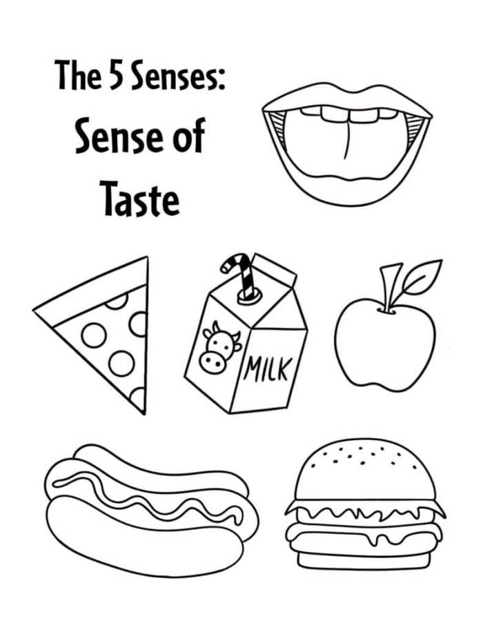 5 Senses Taste Matching Worksheet for Kindergarten Learners Worksheet for matching tastes to words related to the five senses for kindergarten students