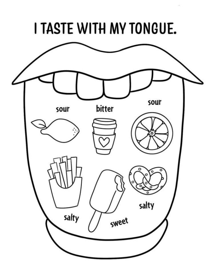 5 Senses Taste Matching Worksheet for Early Learners Worksheet for kindergarten students to match words with different tastes related to the five senses