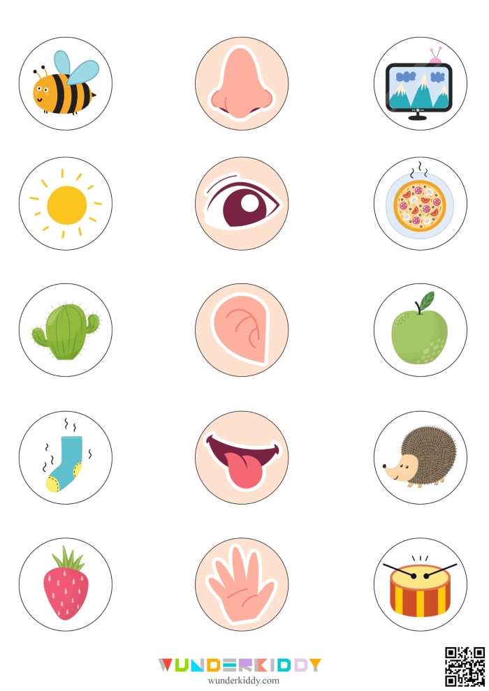 Engaging taste matching worksheet for teaching the five senses in life science Worksheet for kindergarten students to match words to various tastes using the five senses