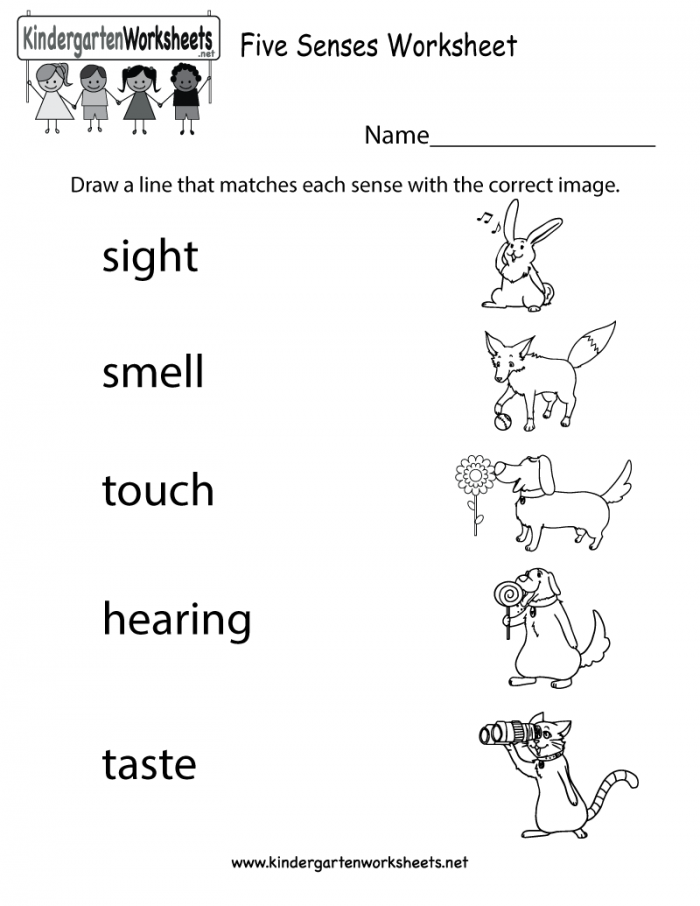 Engaging 5 Senses: Taste Matching activity for early learners Worksheet for matching tastes with the five senses for kindergarten students