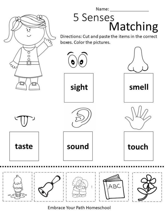 Life Science worksheet for Kindergarten Worksheet for matching different tastes to words related to the five senses for kindergarten students. Engaging 5 Senses: Taste Matching worksheet designed for young learners.